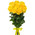 Bouquet of 11 yellow roses