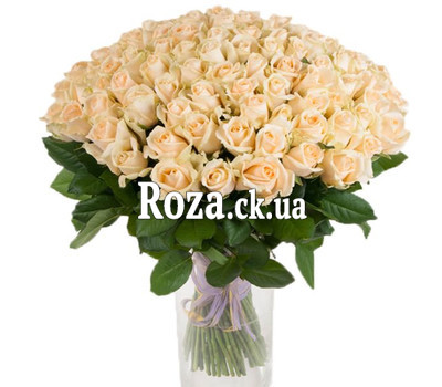 101 cream-colored roses