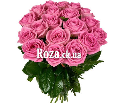 19 pink rose aqua