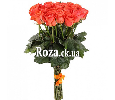 21 coral roses