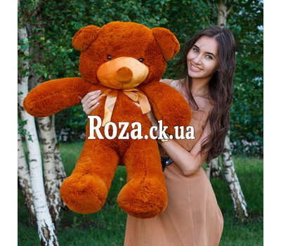 Huge Meter Teddy Bear with delivery
