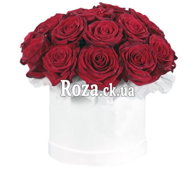 19 red roses in a round box