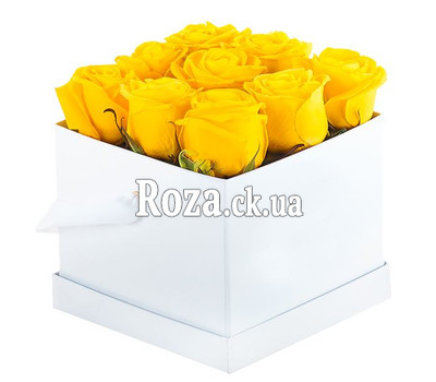 9 yellow roses in a square box