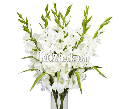 Белые гладиолусы в букете