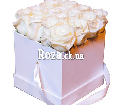 White roses in a square box