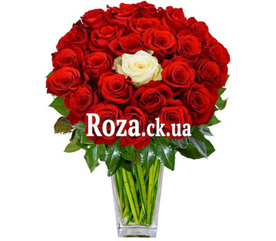 Bouquet of red roses and one white