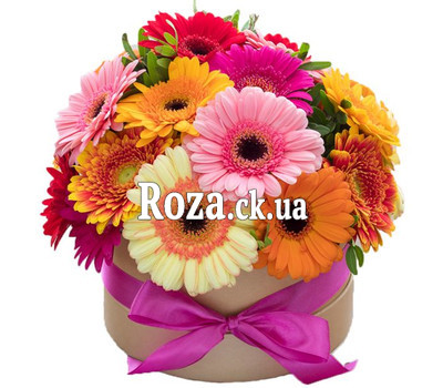 Gerberas in a Box