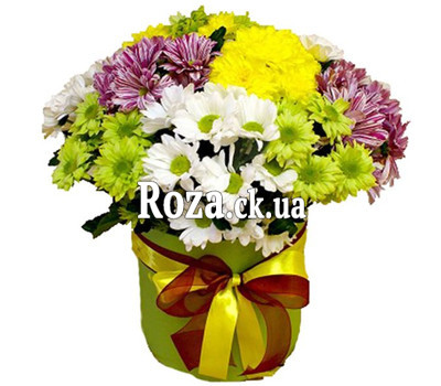 Chrysanthemums in a box