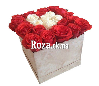 Red and white roses in a box