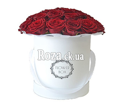Red roses in a box