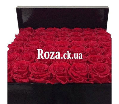 Red roses in a square box