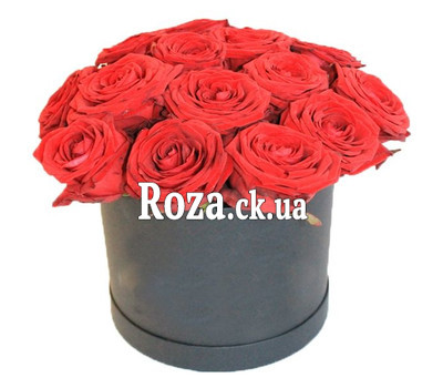 Red roses in a low box