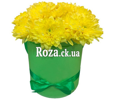 Chrysanthemums in a box