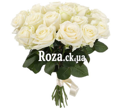 A beautiful bouquet of white roses