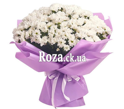 A chic bouquet of 51 white chamomile flowers