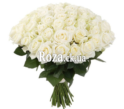 A gorgeous bouquet of white roses