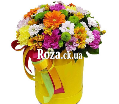 Bright color box