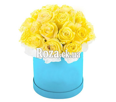 Yellow roses in a round box