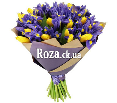 101 tulip and iris