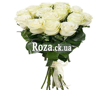 15 white imported roses