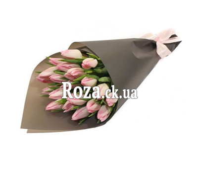 19 pink tulips in paper
