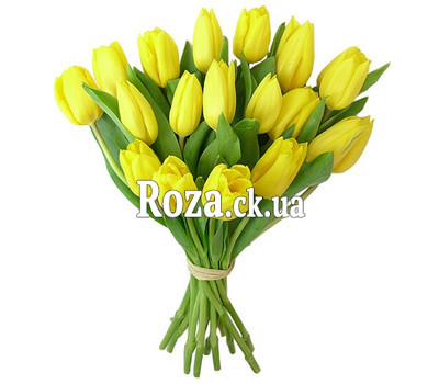 19 yellow tulips in a bouquet