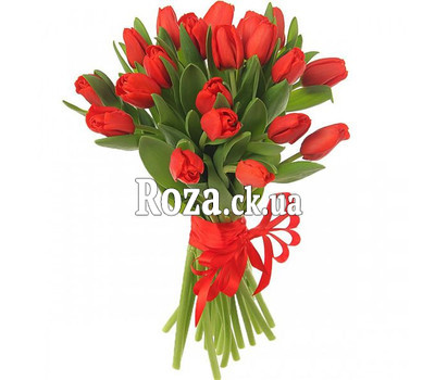 25 red tulips