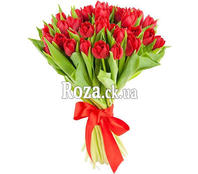 35 red tulips