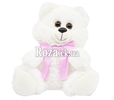 White little Bear