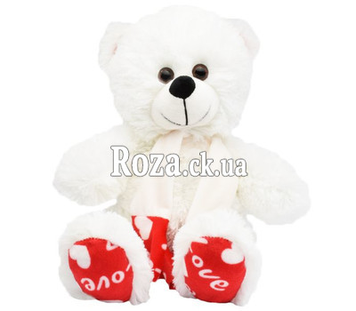White teddy bear with scarf