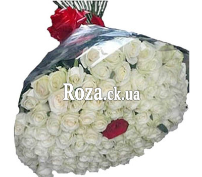 Bouquet of 100 white roses and 1 red