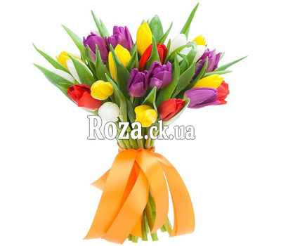 Bouquet of 25 Tulips