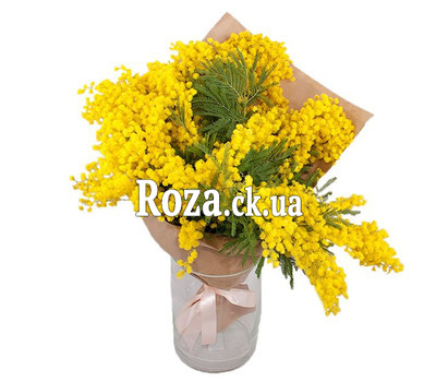 Невеликий букет мімози
