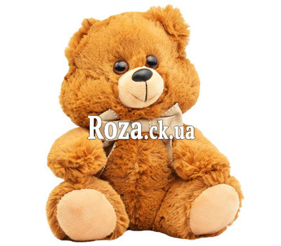 A wonderful little bear cub