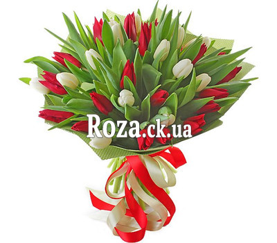 Harmonious bouquet of tulips
