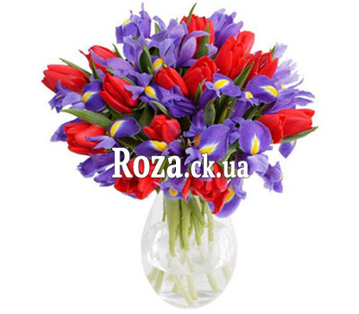 Irises and red tulips