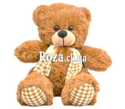 Brown bear in a scarf