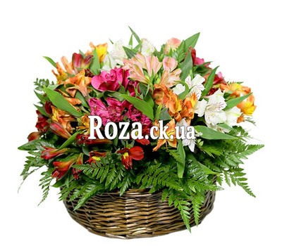 Basket with alstroemerias