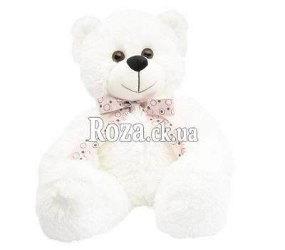 Beautiful White Bear