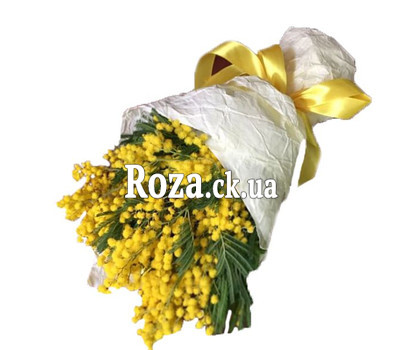 Маленький букет мімози