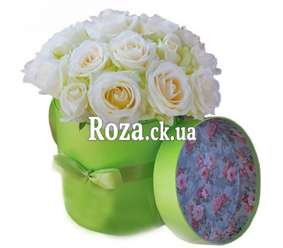 Nice box of white roses