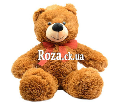 Teddy Bear 50 cm