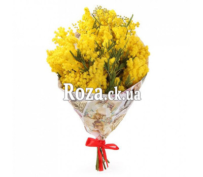 Невеликий букет мімози