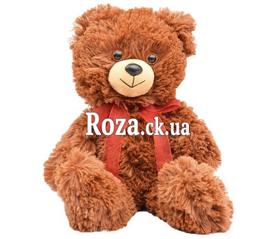 A small brown bear cub