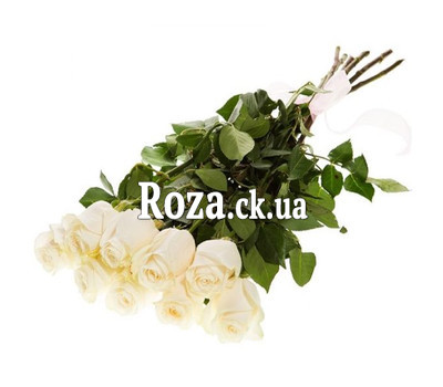 Delicate imported roses