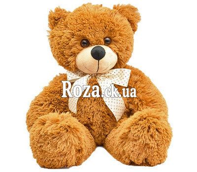 Cute Teddy Bear