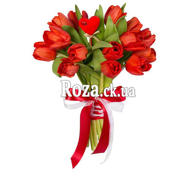 Tulips for Valentine's Day