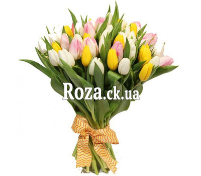 Spring tulips in a bouquet