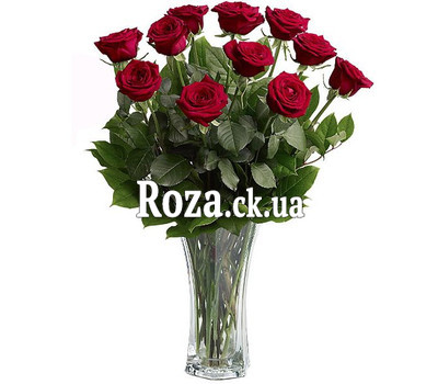 11 roses in a vase