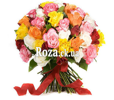 41 multi-colored rose